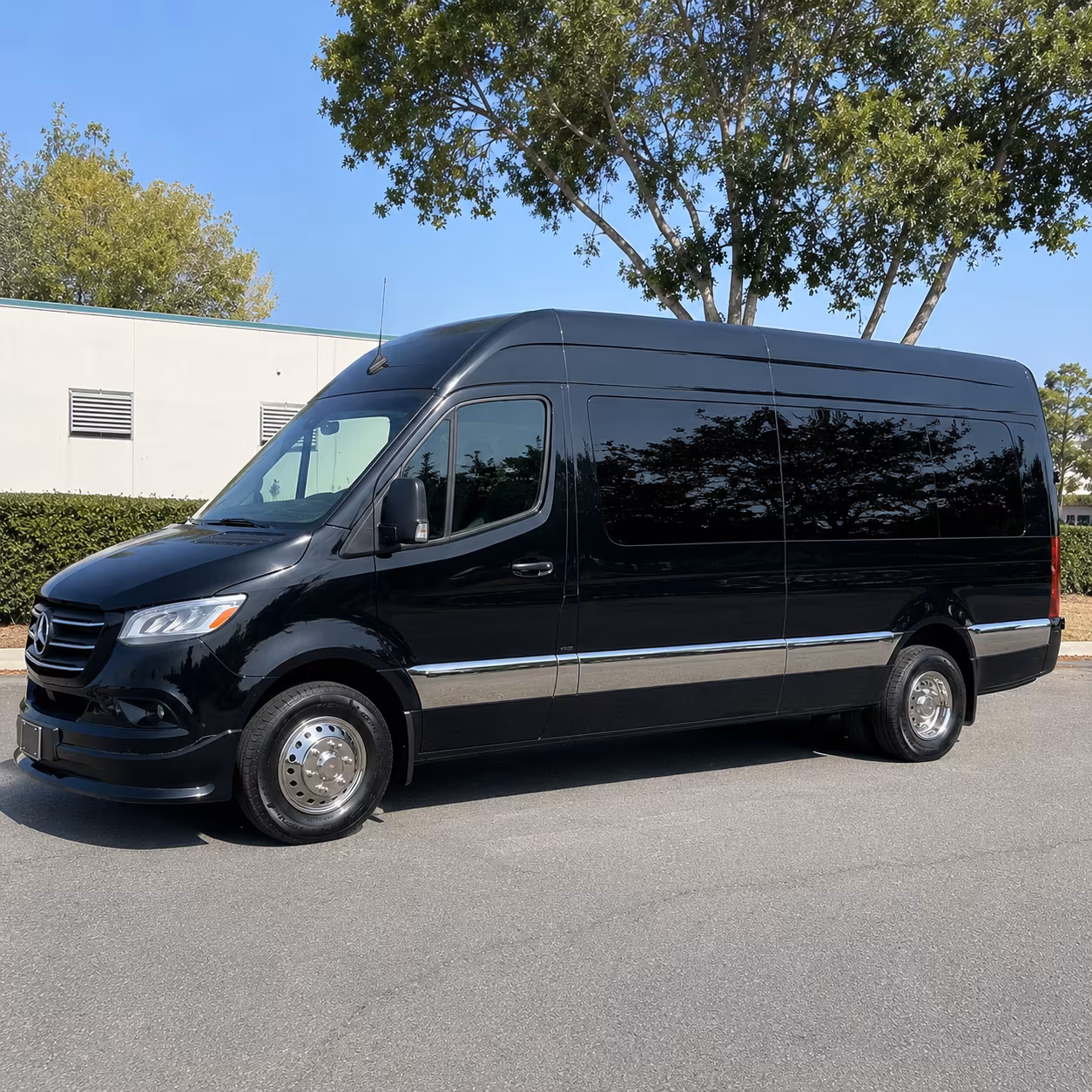 orlando wedding sprinter van rental